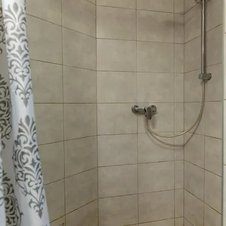 Ballada 2 בית אירוח זקופאנה